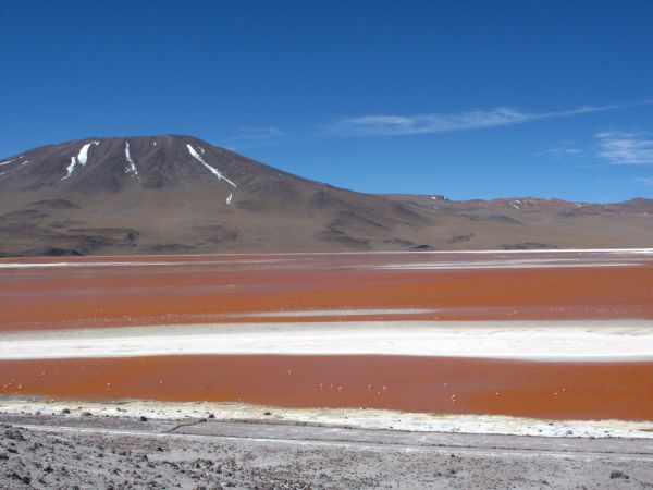 laguna colorada en Bolivia