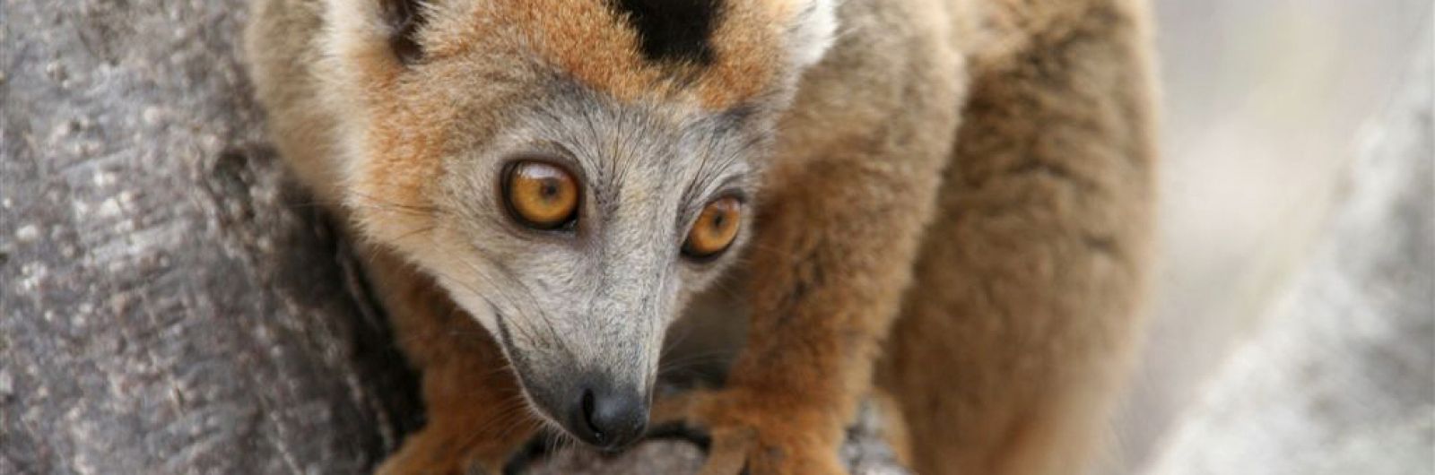 Madagascar