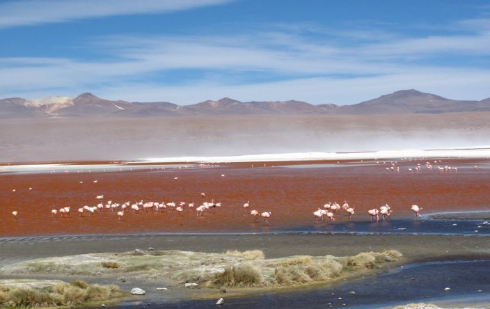 Parasos Andinos de Argentina, Chile y Bolivia