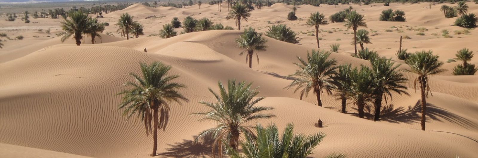 marruecos dunas0
