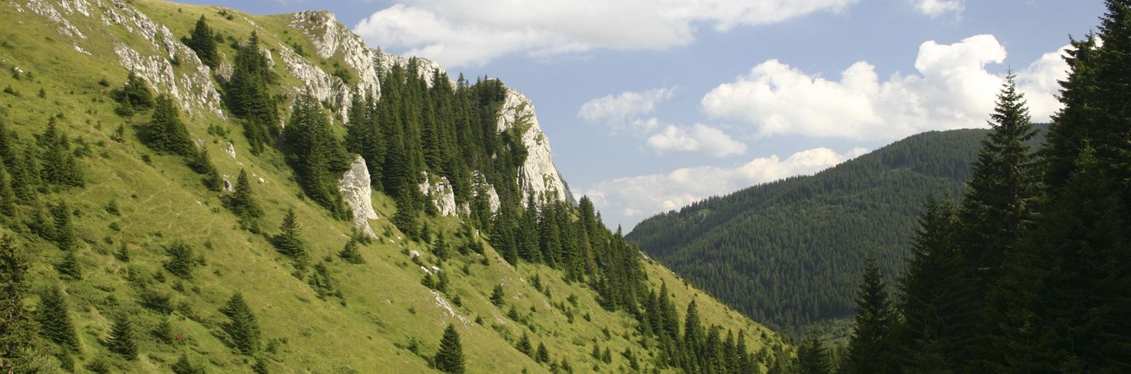 montaa serbia