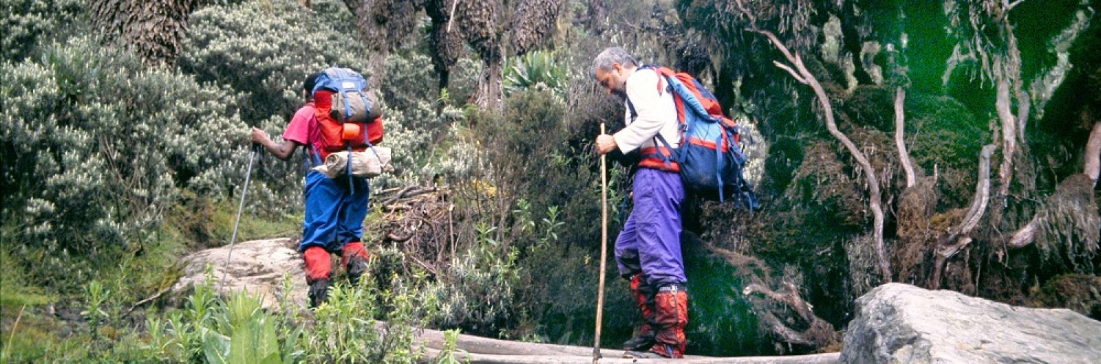 Ascensin al Rwenzori en Uganda