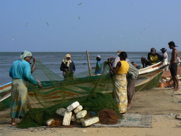 pescadores en sri lanka