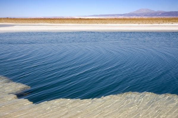 Flamencos en Laguna Colorada Bolivia