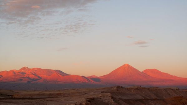 Flamencos en Laguna Colorada Bolivia