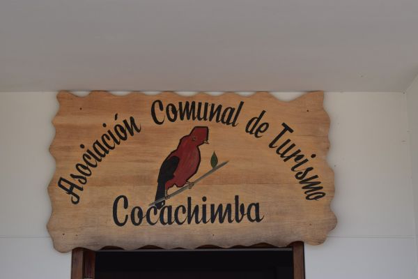 peru tumbas reales