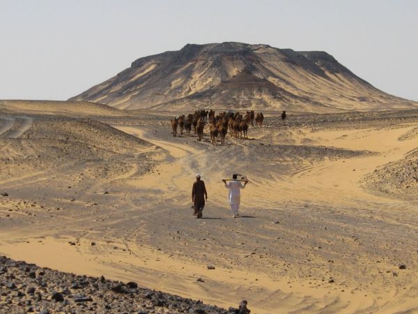 paseando por el desierto negro