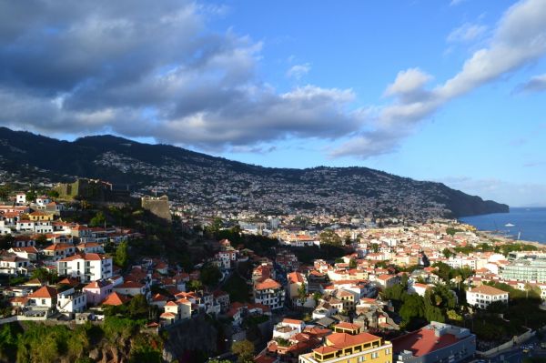 Madeira Incognita. Fin de ao.