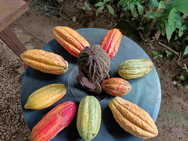 volcn Izalko, El Salvador
