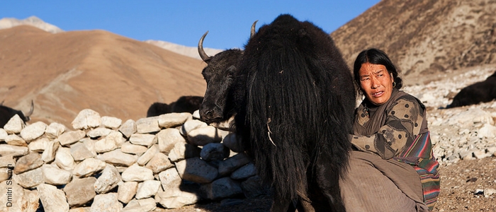 Ruta Seda: Día 15 – Leche de yak para desayunar