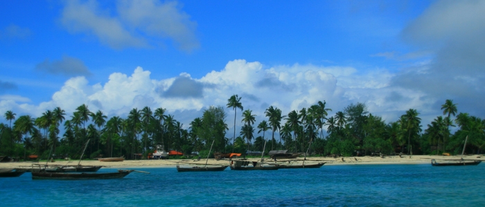 visita playas de Zanzibar