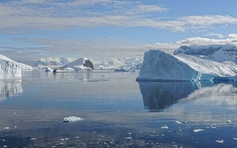 Todas las pistas sobre cómo viajar a la Antártida