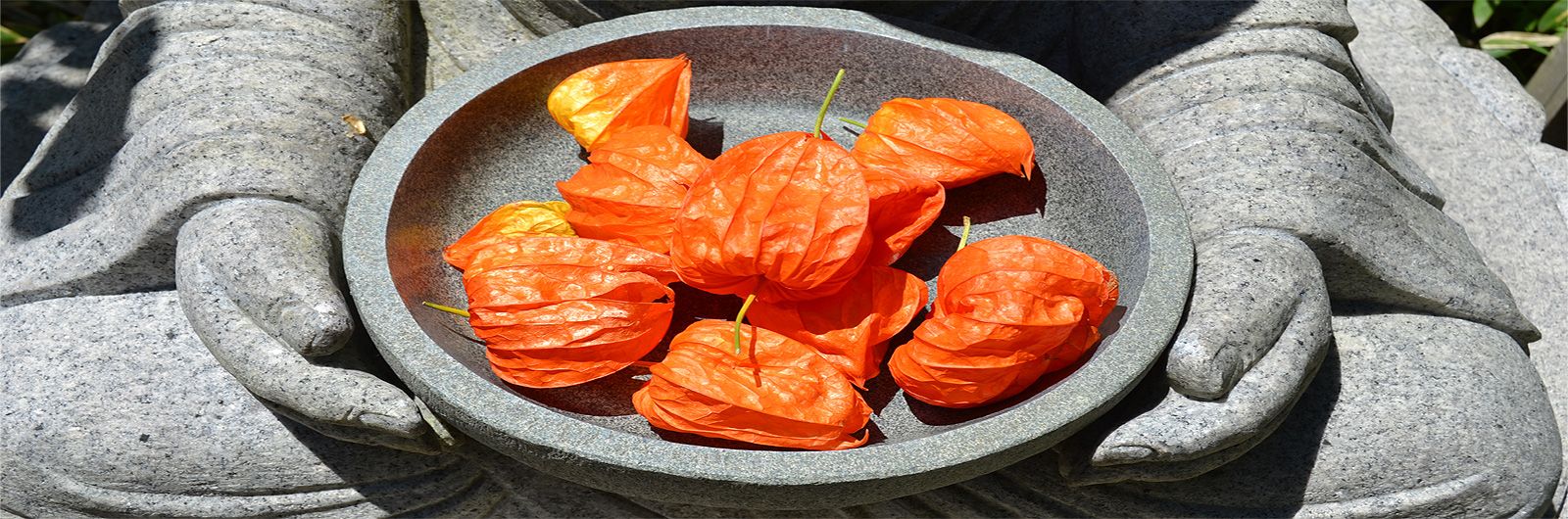 ofrenda japn