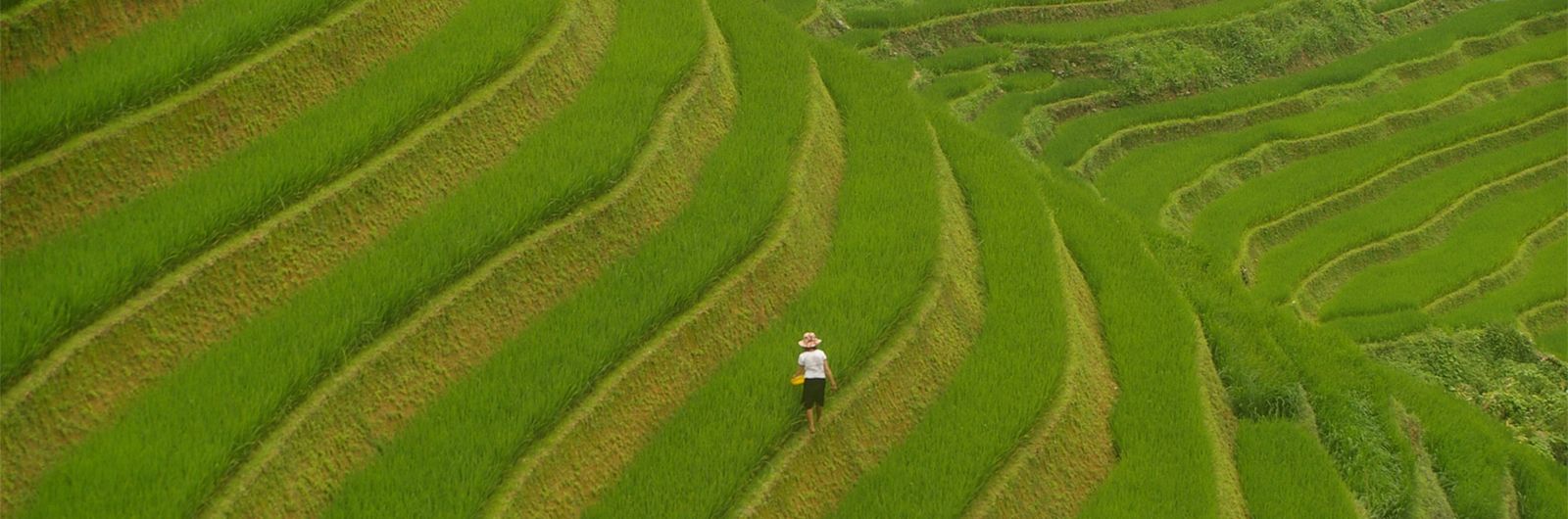 Aldeas de Vietnam