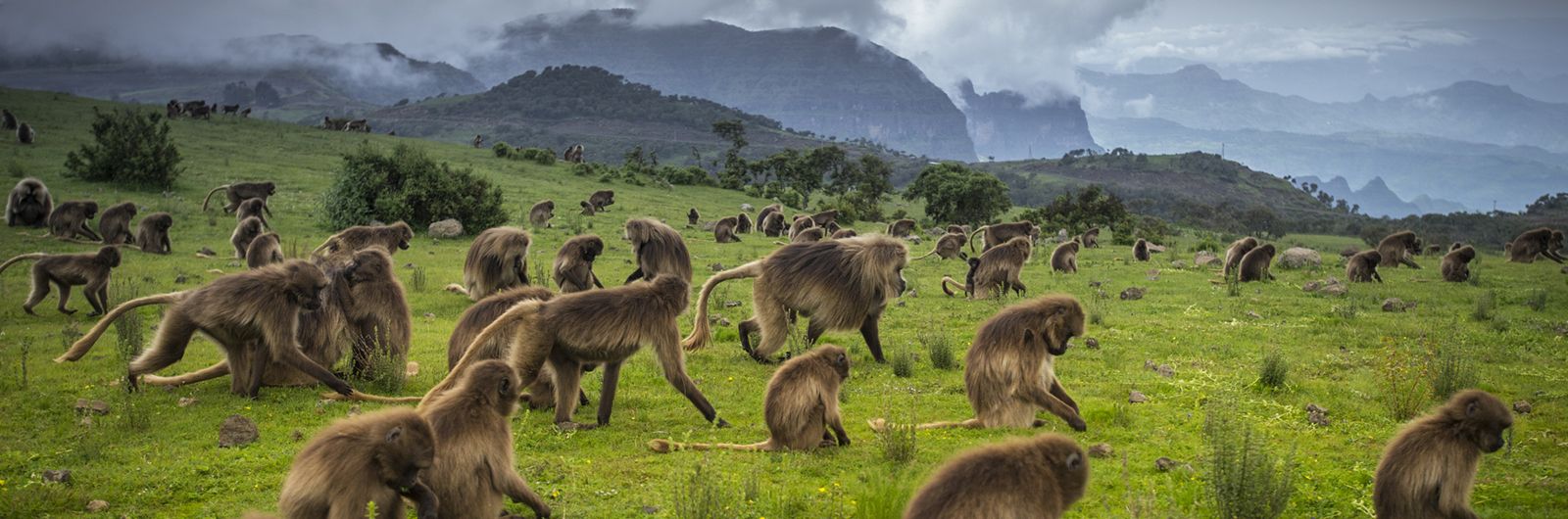 montaas del Simien Etiopia