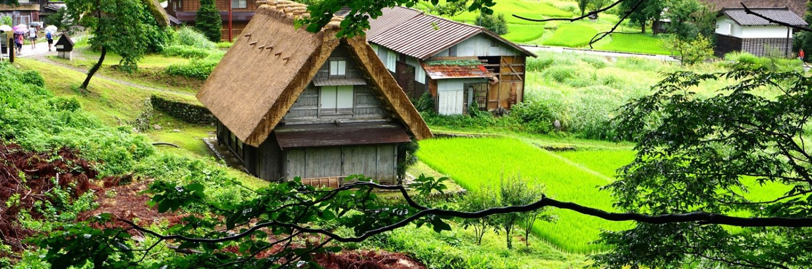 shikarawago. japn 