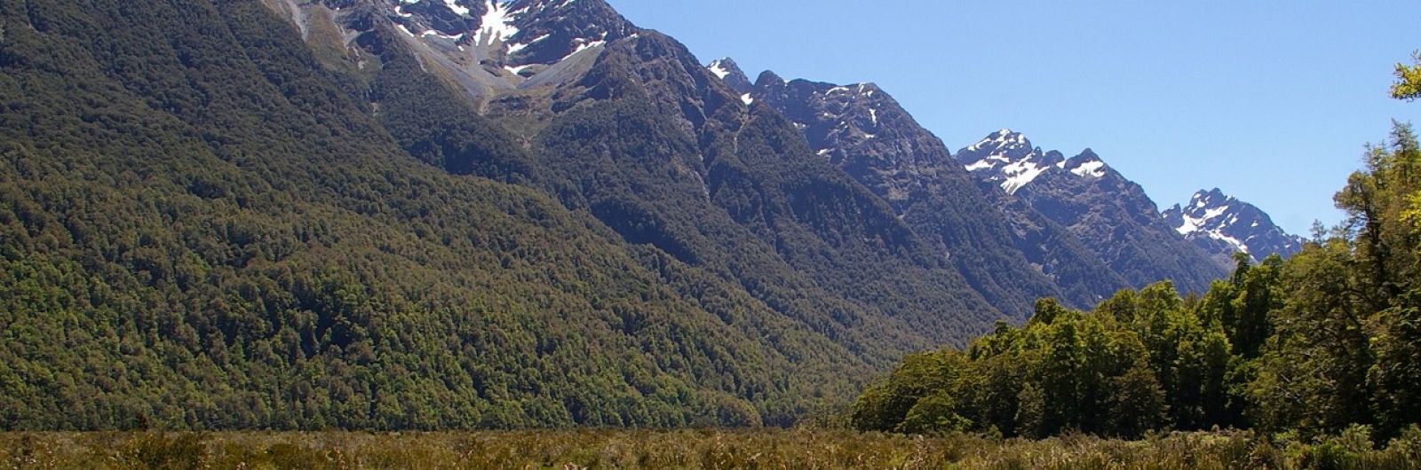 nueva zelanda montaa