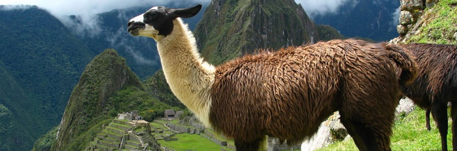 Trekking Camino Inca a Machu Picchu