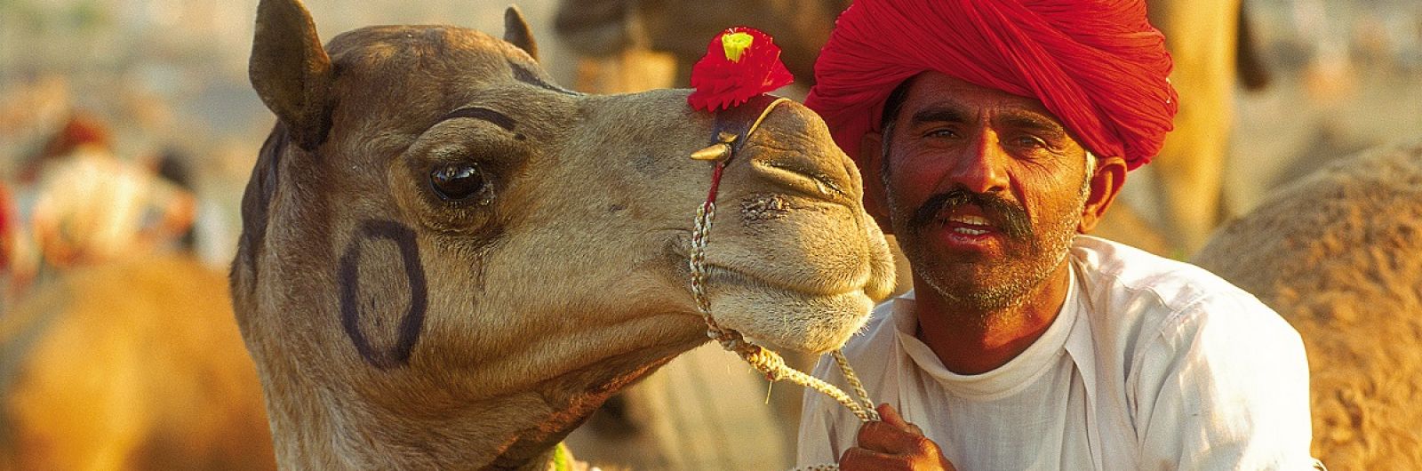 India. Festival de Pushkar