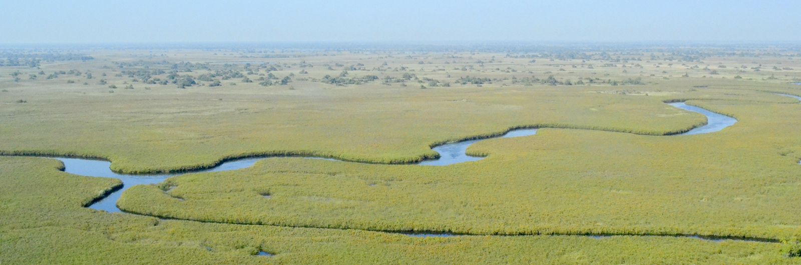 botswana rinoceronte