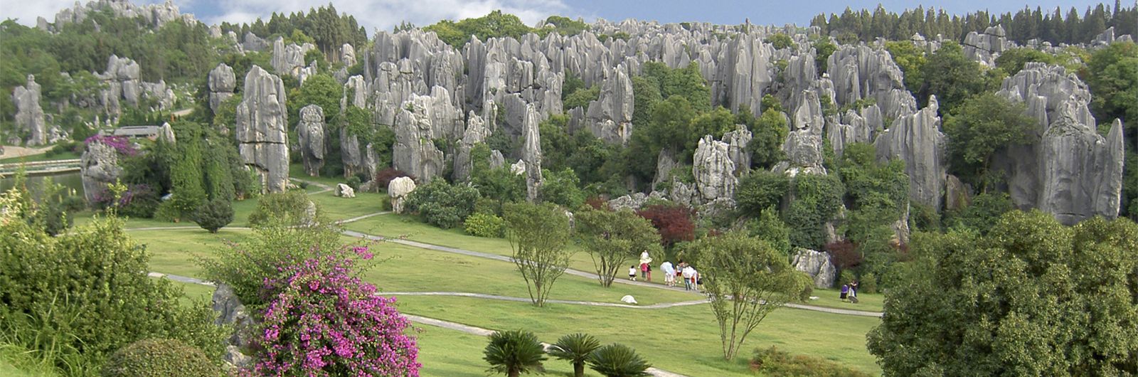 stone forest