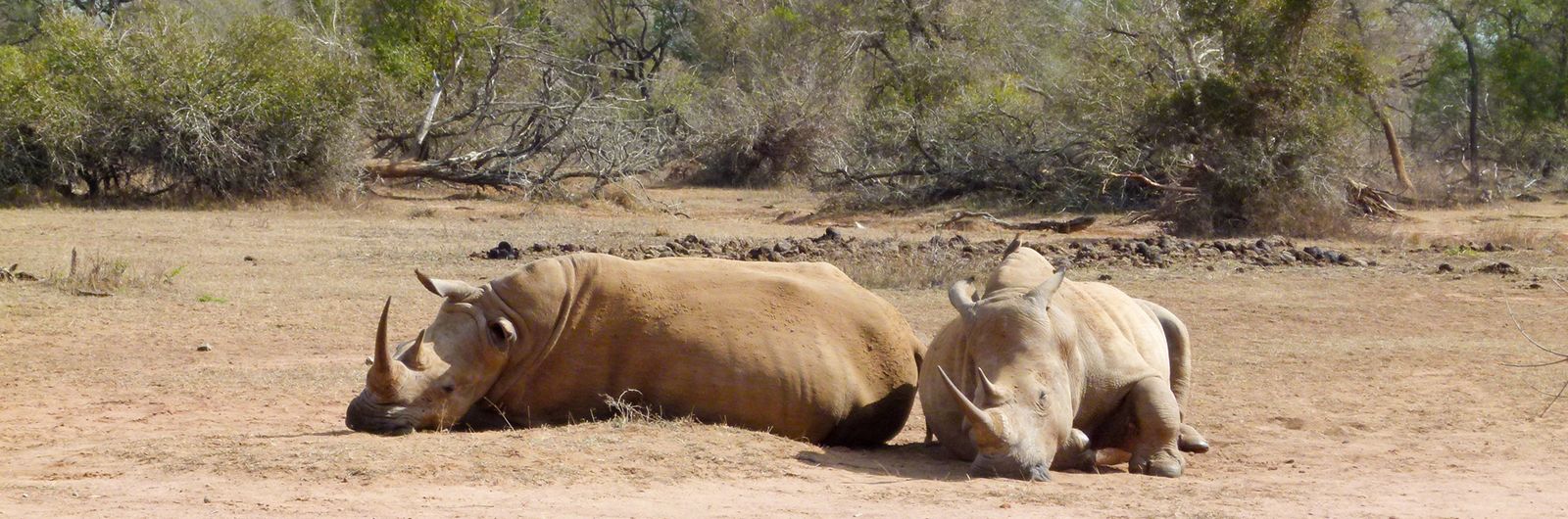 sudafrica pn kruger