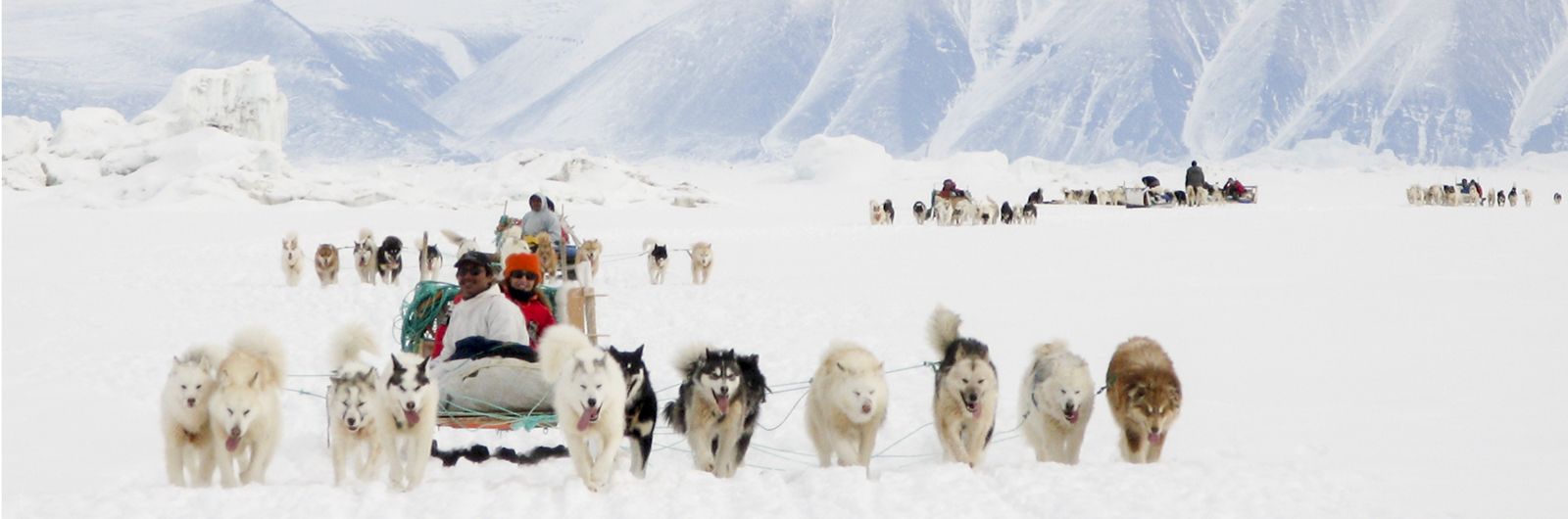 Trineos de perros en Groenlandia