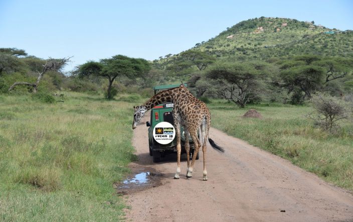 Parque Nacional Serengueti, Tanzania