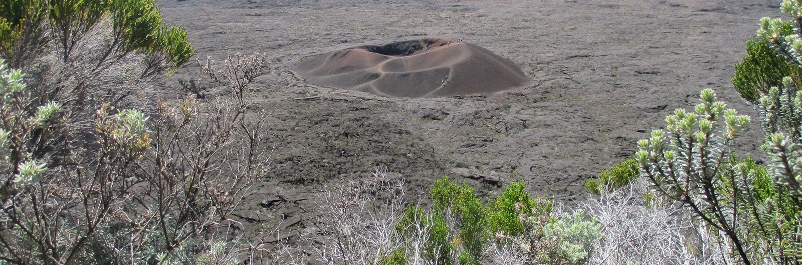 Travesa Isla de Reunin