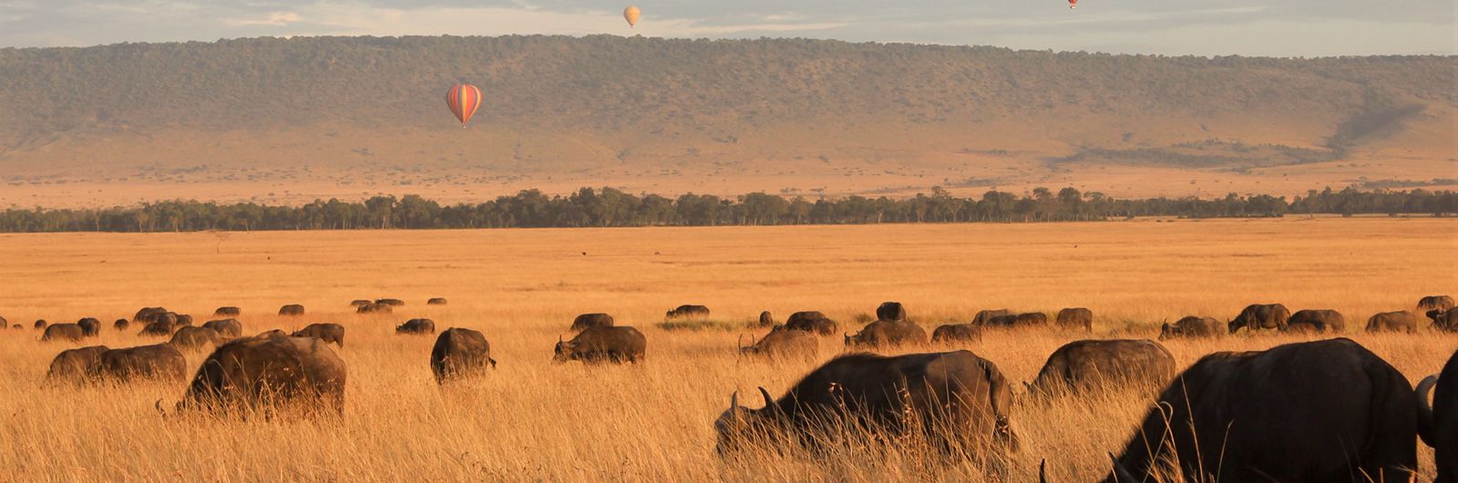 Kenya