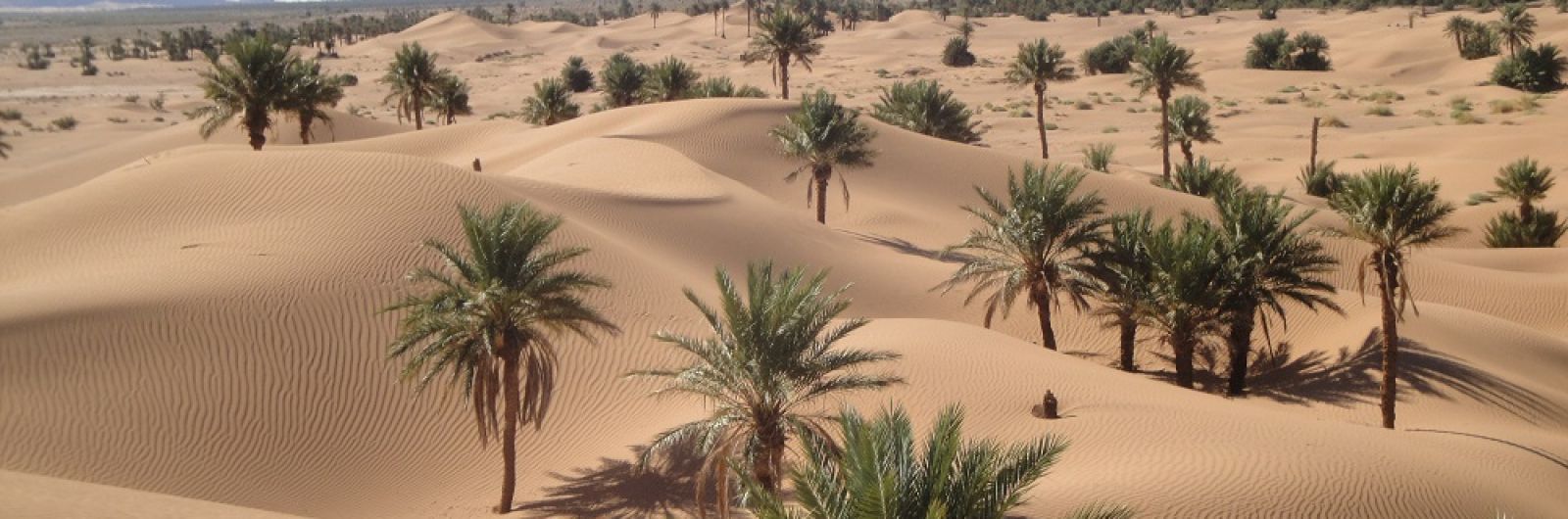 marruecos