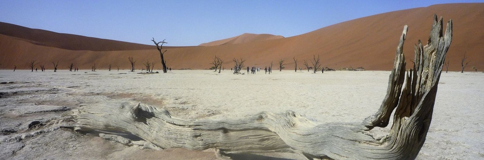 namibia desierto namib
