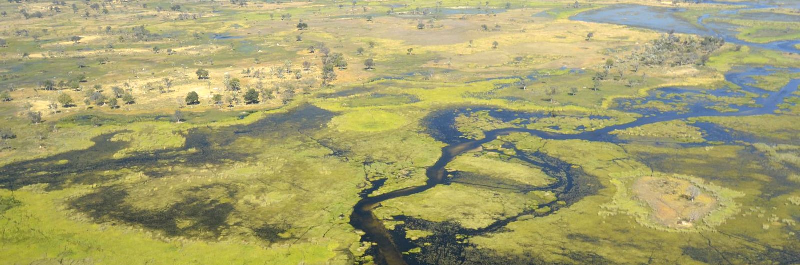 Ruta Okavango