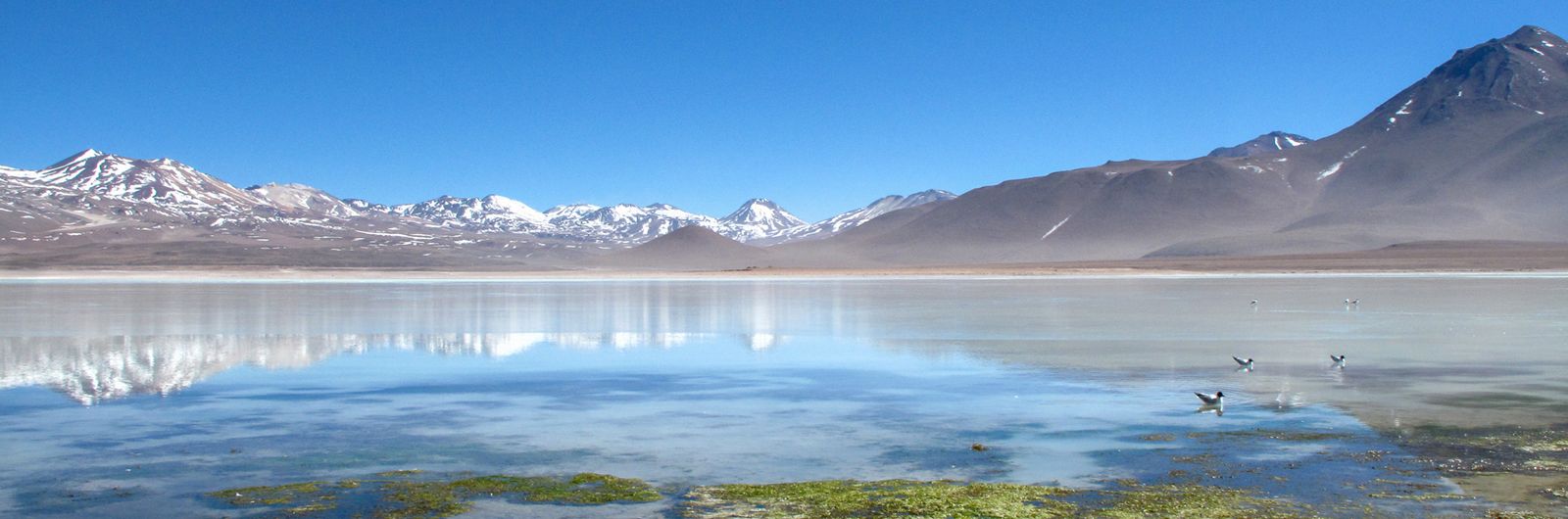 Bolivia Laguna Verde