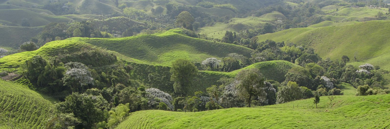 Imgenes de Colombia