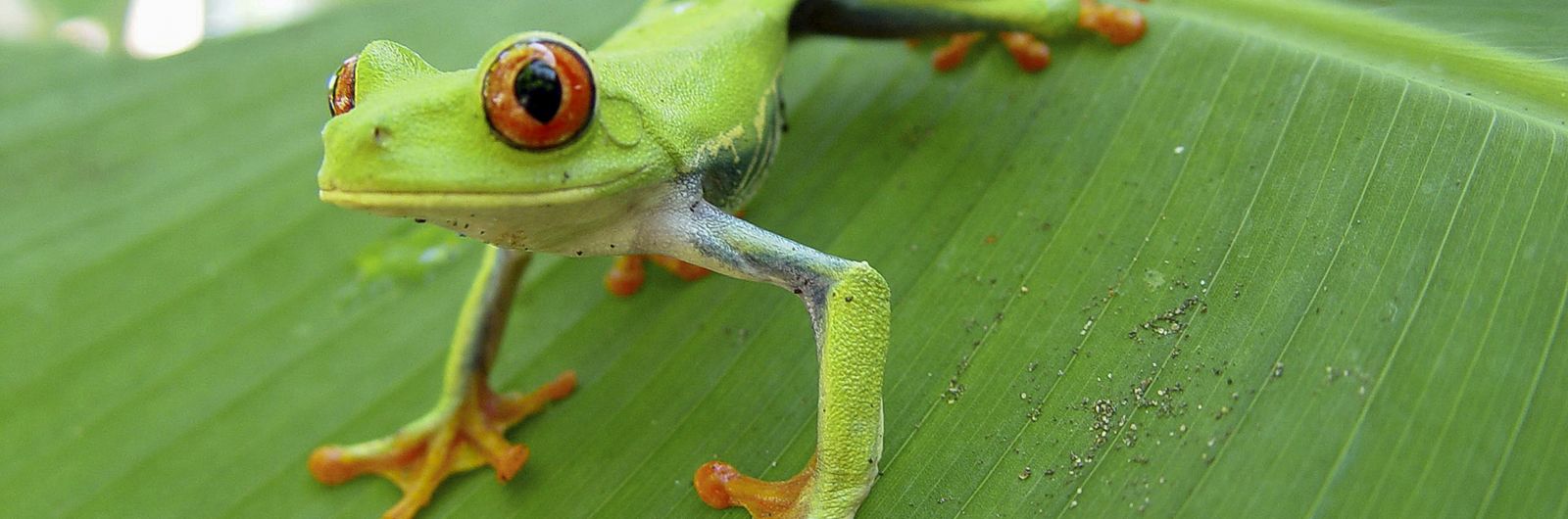 Costa Rica