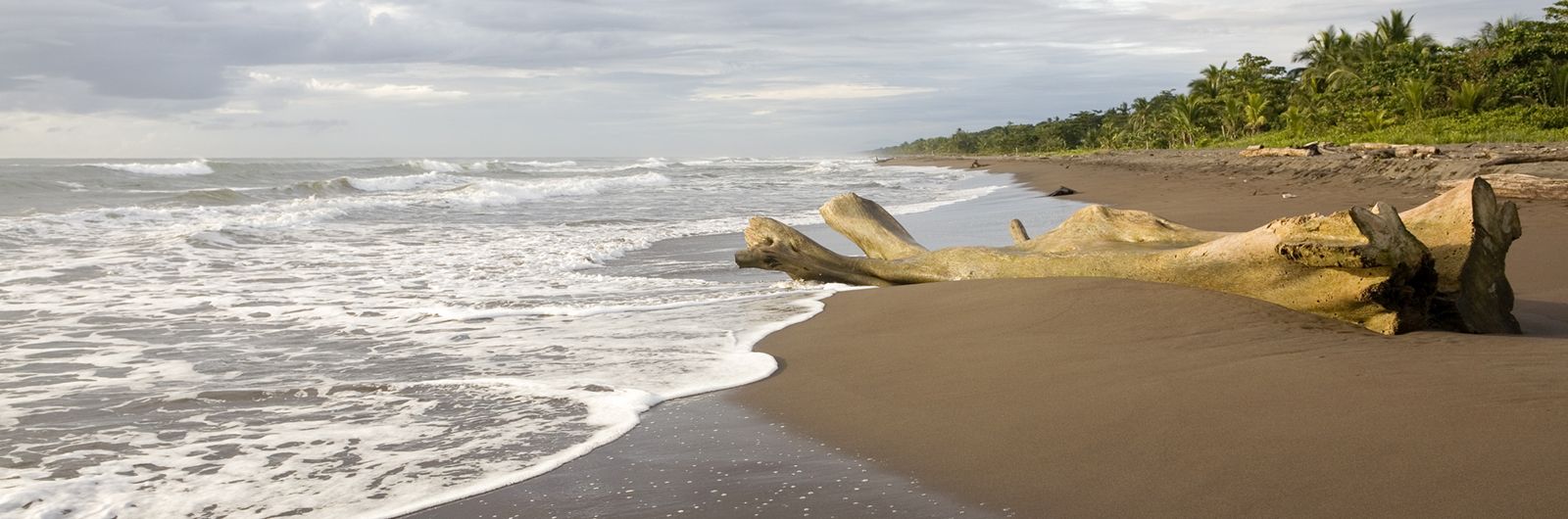 Playa en Tortuguero, Costa Rica