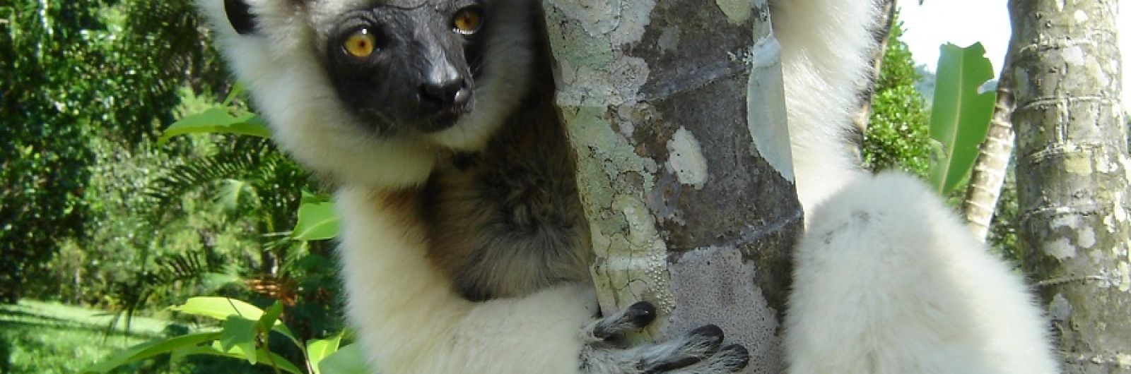 Expedici�n Remote River