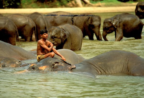 pescadores en sri lanka
