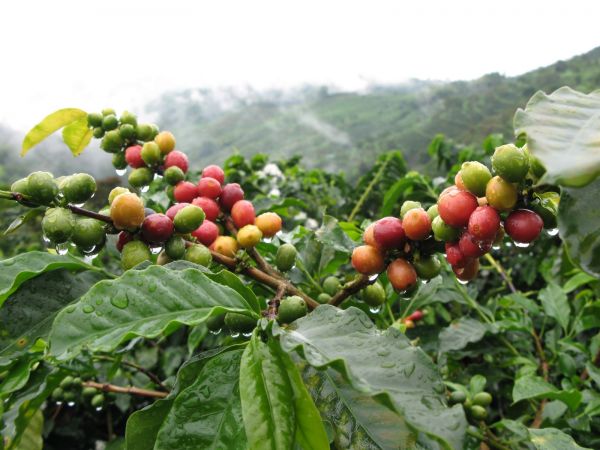paisajes de San Agustin de Huila