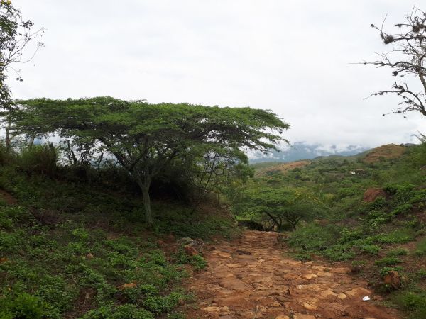 paisajes de San Agustin de Huila