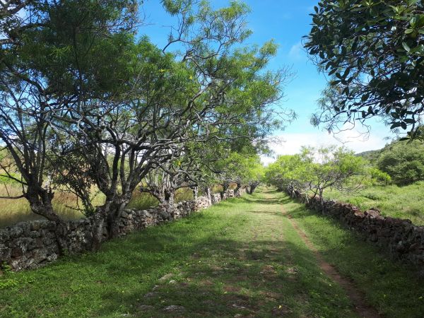 paisajes de San Agustin de Huila