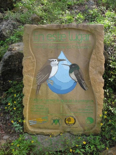 paisajes de San Agustin de Huila