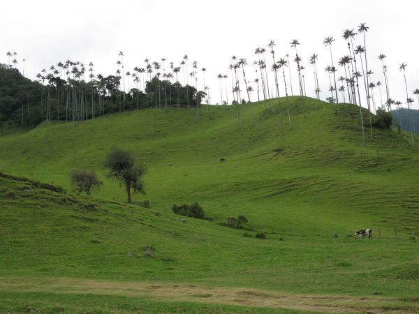 paisajes de San Agustin de Huila