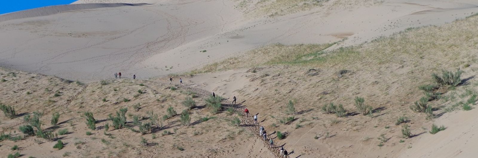 mongolia desierto gobi