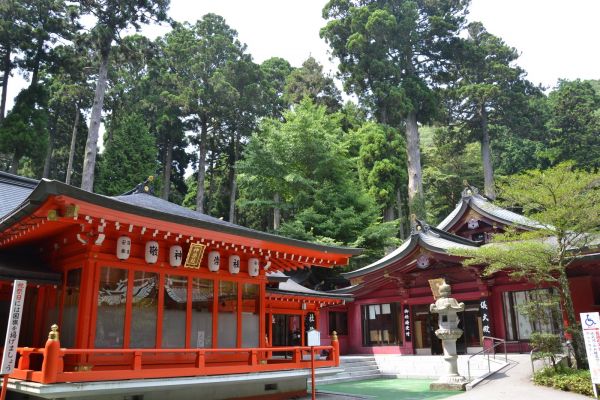 Kinkakuji - Pabellon Dorado