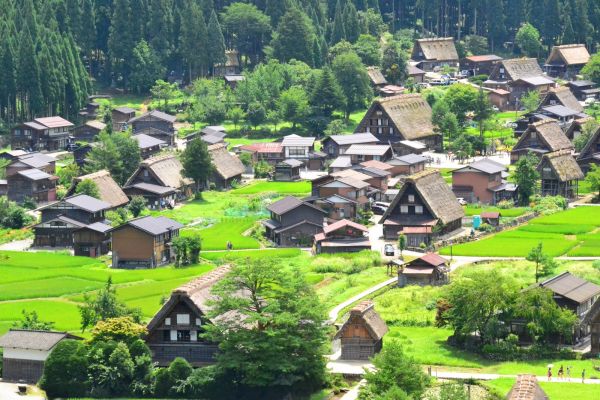 Kinkakuji - Pabellon Dorado