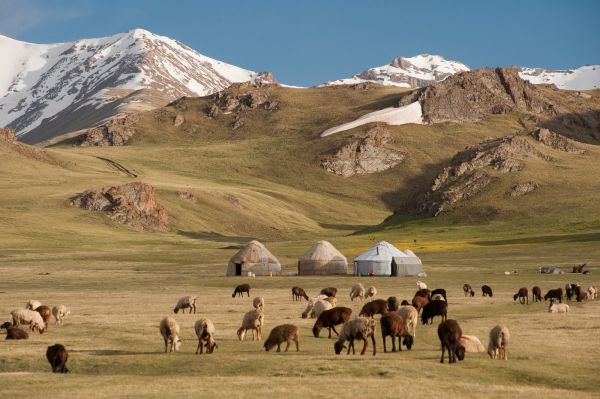 dushanbe
