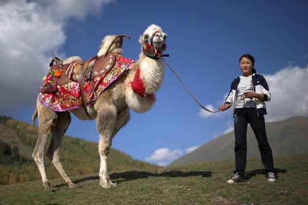 fortaleza yiayiguan en china