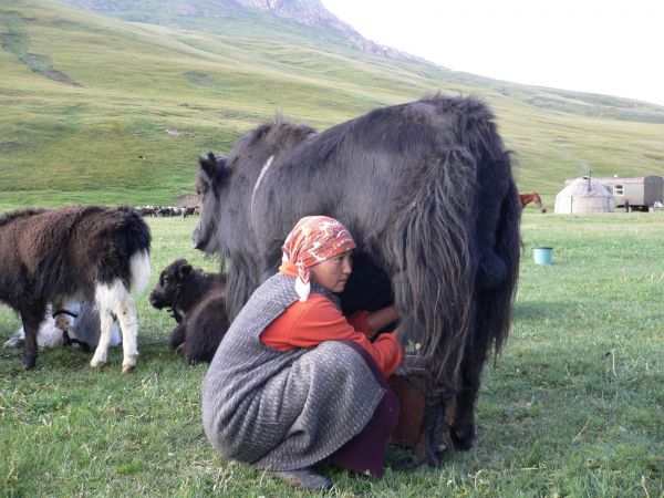 dushanbe